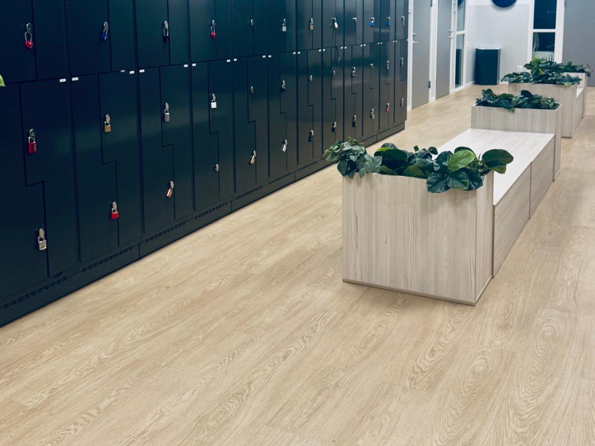 Drottning Blankas Gymnasieskola