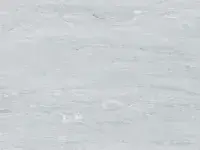 gerflor-mipolam-classic-0002-platinum