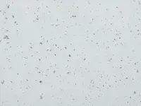 Mipolam Planet 5410 Silex