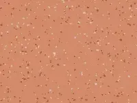 PREMIUM - 4050 INDIANA Comores