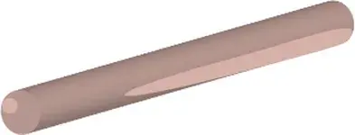 0091 SHIITAKE MUSHROOM