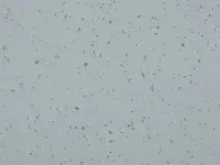 Mipolam Planet 5429 Fog Patch